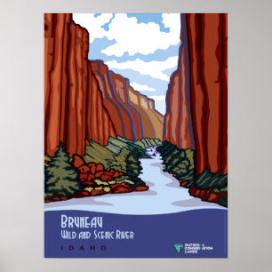 Vintage Bruneau Vild och Scenia River Idaho Travel Poster