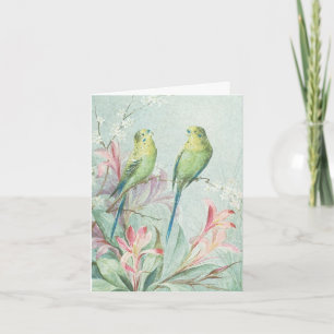Vintage Budgerigars Bird Gren Flowers Tack Kort
