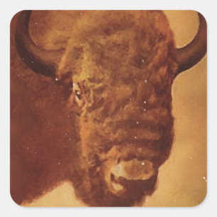 Vintage Buffalo Fyrkantigt Klistermärke