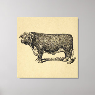 Vintage Bull Land & Farm Themed Art Canvastryck