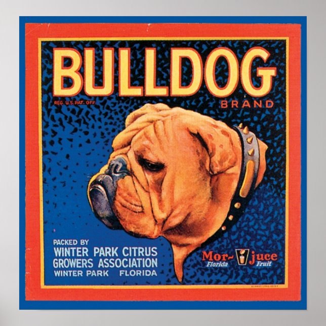 Vintage Bulldog Brand Låda-etikett Poster (Framsidan)