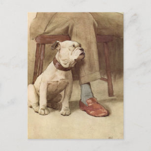 Vintage Bulldog Puppy Illustration Vykort