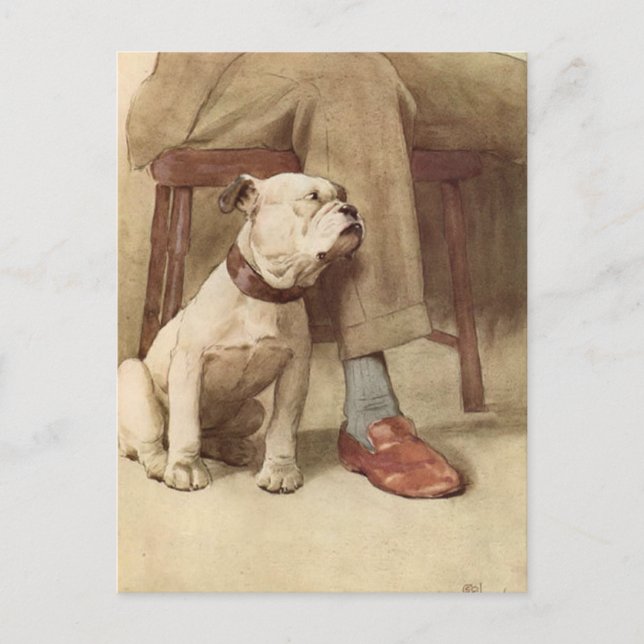 Vintage Bulldog Puppy Illustration Vykort (Framsida)