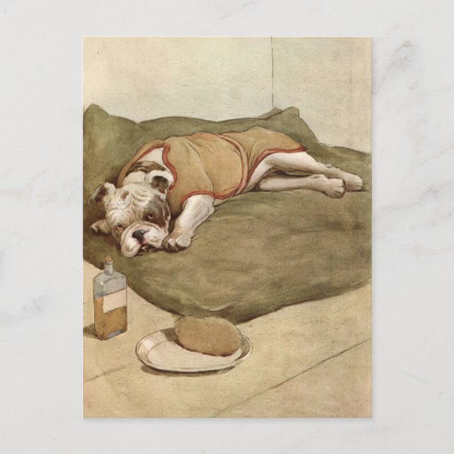 Vintage Bulldog Puppy Illustration Vykort (Framsida)