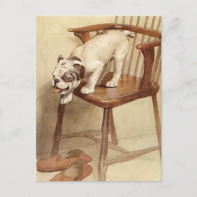 Vintage Bulldog Puppy Illustration Vykort (Framsida)