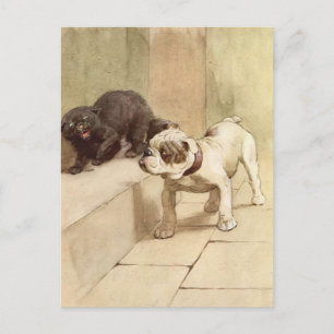 Vintage Bulldog Puppy Illustration Vykort