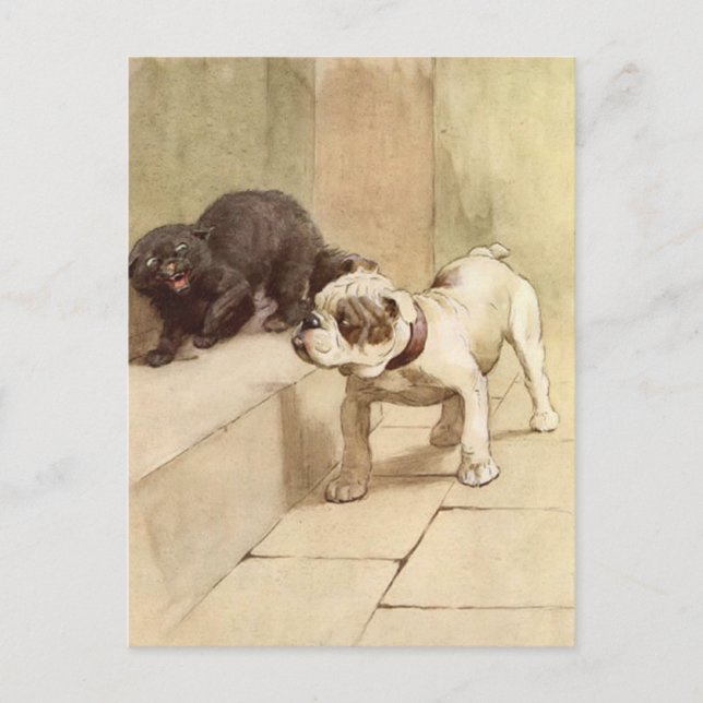 Vintage Bulldog Puppy Illustration Vykort (Framsida)