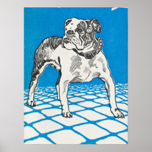 Vintage Bulldog Teckning Poster