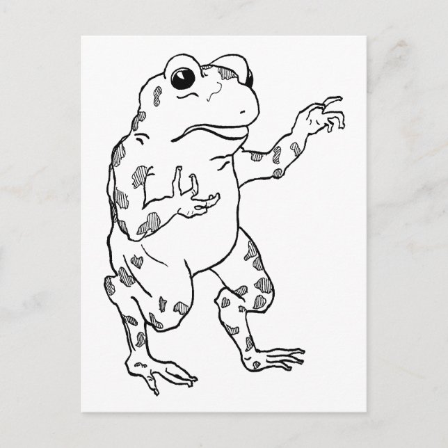 Vintage Bullfrog Illustration Vykort (Framsida)