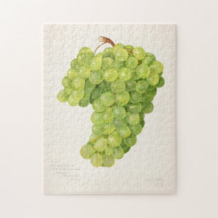 Vintage Bunch of Grönt Grapes Fruit Painting Pussel
