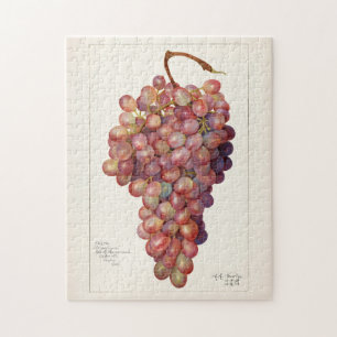 Vintage Bunch of Red Grapes Fruit Painting Pussel