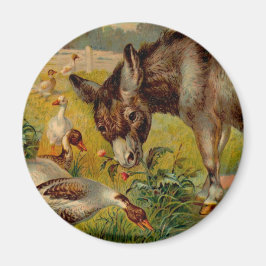 Vintage Burro med gäss Magnet