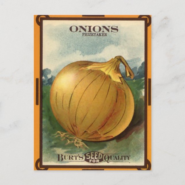 Vintage Burts oljefrön Paket Vykort (Framsida)