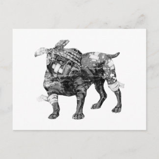 Vintage Butch i BW Vykort