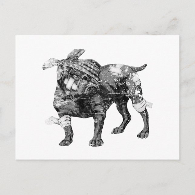 Vintage Butch i BW Vykort (Framsida)