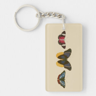 Vintage Butterflies