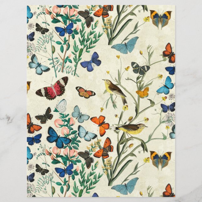 Vintage Butterflies Botaniska Elfenbenskusten Papp (Framsida)