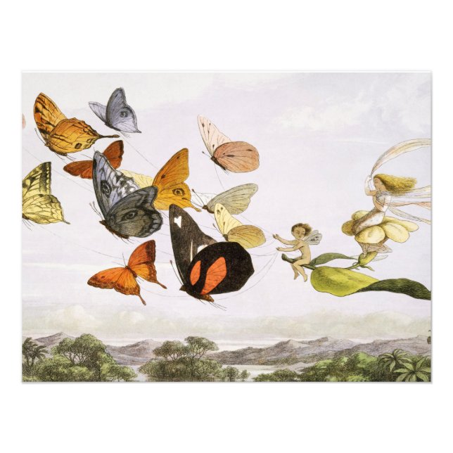 Vintage Butterflies & Fairy Old Illustration Art Fototryck (Framsidan)