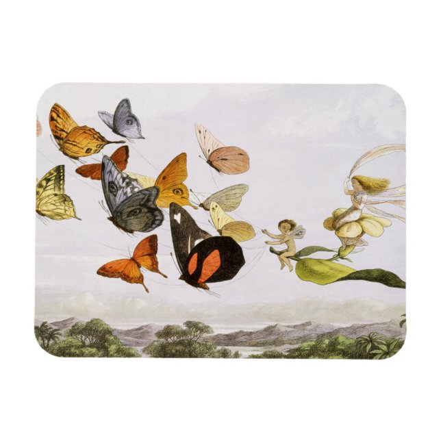 Vintage Butterflies & Fairy Old Illustration Art Magnet (Horisontell)