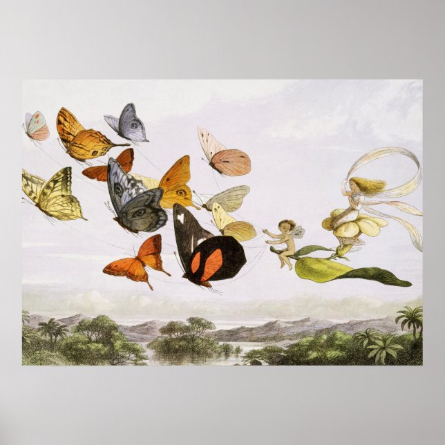 Vintage Butterflies & Fairy Old Illustration Art Poster (Framsidan)
