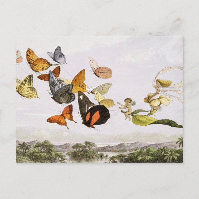 Vintage Butterflies & Fairy Old Illustration Art Vykort (Framsida)