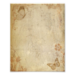 Vintage Butterflies Fototryck