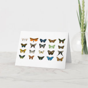 Vintage Butterflies Illustration Art Kort