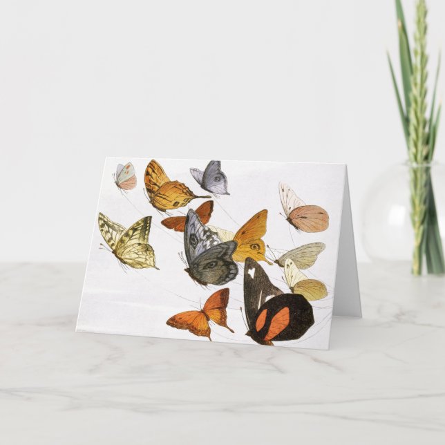 Vintage Butterflies Illustration Art Kort (Framsida)