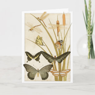 Vintage Butterflies Illustration Art Kort