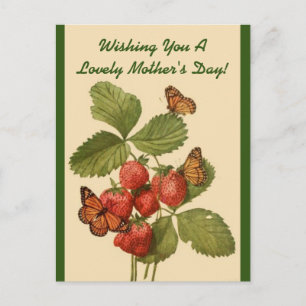 Vintage Butterflies Mamma Europadagen Vykort