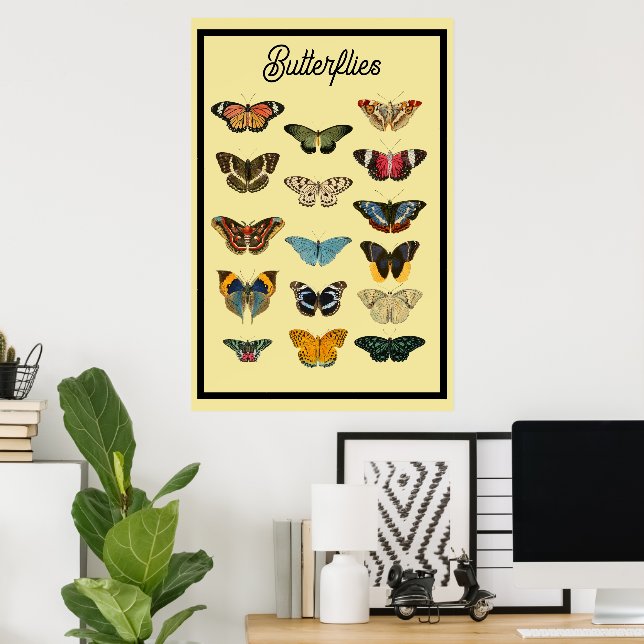 Vintage Butterflies Poster (Hemmakontoret)
