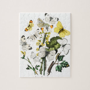 Vintage Butterflies Pussel