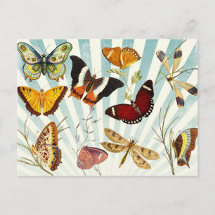 Vintage Butterflies Vykort