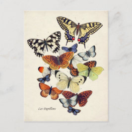 Vintage Butterflies Vykort