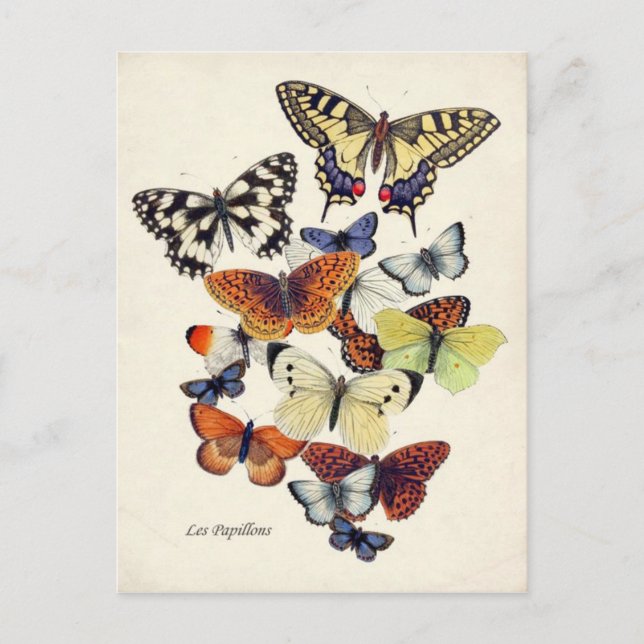 Vintage Butterflies Vykort (Framsida)