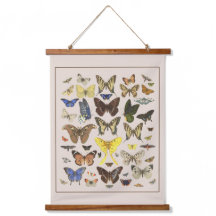 Vintage Butterflies Wall
