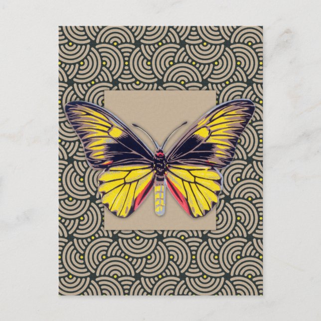 Vintage Butterfly Art Vykort (Framsida)