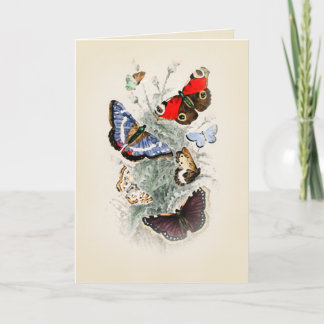 Vintage Butterfly Boho Chic Kort