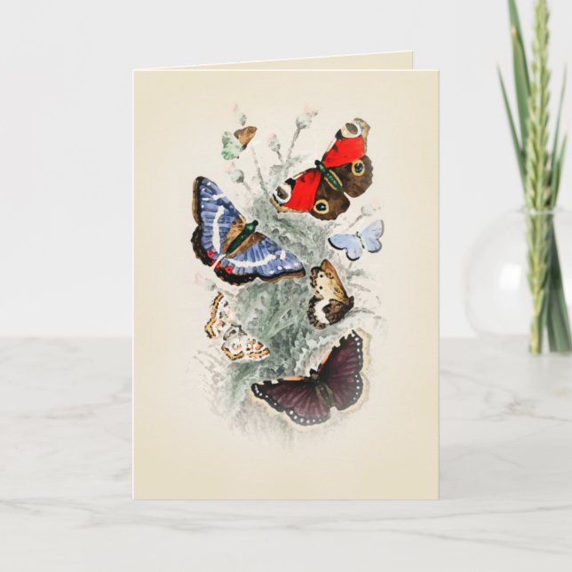 Vintage Butterfly Boho Chic Kort (Framsida)