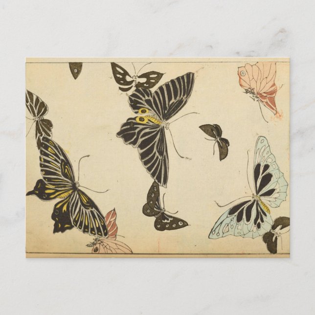 Vintage Butterfly Collage Vykort (Framsida)