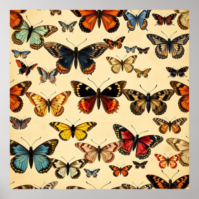 Vintage Butterfly Collection Pattern Poster (Framsidan)