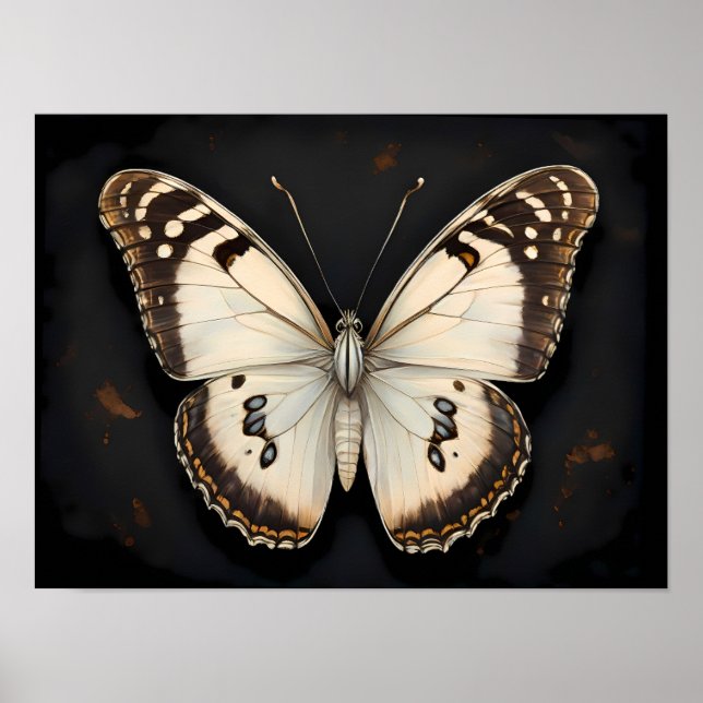Vintage Butterfly Elegance, tidlös natur Poster (Framsidan)