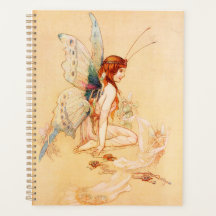 Vintage Butterfly Fairy