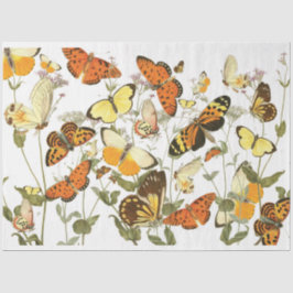 Vintage Butterfly Garden Tissue
