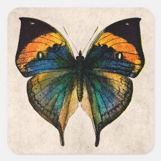 Vintage Butterfly Illustration - Butterflies Fyrkantigt Klistermärke