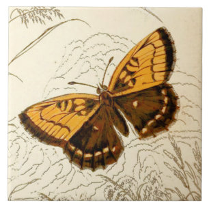 Vintage Butterfly Illustration, Guld och Brown Kakelplatta