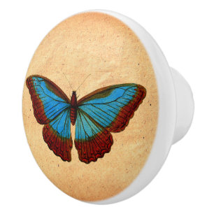 Vintage Butterfly Illustration Knopp