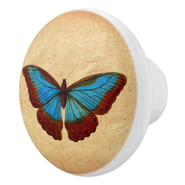Vintage Butterfly Illustration Knopp (Höger)