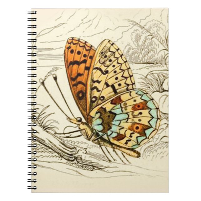 Vintage Butterfly Illustration, Orange och Beige Anteckningsbok (Framsidan)