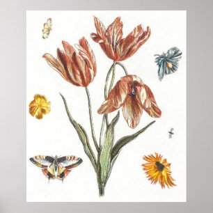 Vintage Butterfly Illustration Poster